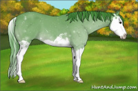 Horse Color:Watercolor Bay Splash