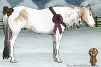 Horse Color:White Spotted Amber Champagne Tobiano 