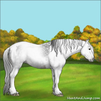 Horse Color:Gray Brown Tobiano Rabicano 
