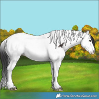 Horse Color:Brown Sabino Splash Tobiano Varnish 