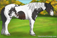 Horse Color:Brown Sabino Tobiano Varnish 