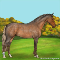 Horse Color:Chocolate Palomino Roan 