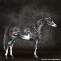 Horse Color:White Spotted Black Sabino Frame