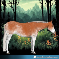 Horse Color:White Spotted Bay Splash  and White Spotted Silver Bay Splash 