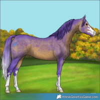 Horse Color:Watercolor Brown 