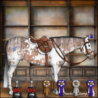 Horse Color:Bay Ice Splash 