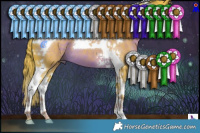 Horse Color:Watercolor Liver Chestnut Tobiano 