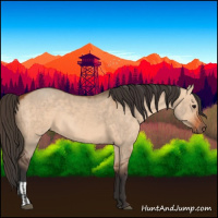 Horse Color:Bay Dun  and Bay Dun 
