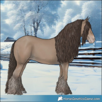 Horse Color:Classic Champagne 