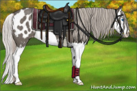 Horse Color:Silver Black Sabino Splash Appaloosa 