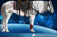 Horse Color:White Spotted Brown Splash Varnish Rabicano 