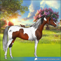 Horse Color:Brown Tobiano 