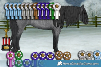 Horse Color:Blue Roan Rabicano