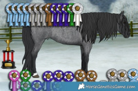 Horse Color:Blue Roan Rabicano