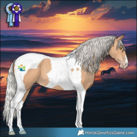 Horse Color:Silver Amber Champagne Tobiano 