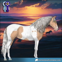 Horse Color:Silver Amber Champagne Tobiano 