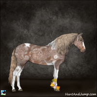 Horse Color:White Spotted Liver Chestnut Ice Tobiano Rabicano