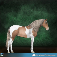 Horse Color:Liver Chestnut Pearl Tobiano Rabicano 