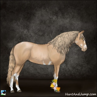 Horse Color:White Spotted Chestnut Pearl Tobiano