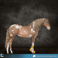 Horse Color:White Spotted Liver Chestnut Pearl Tobiano 