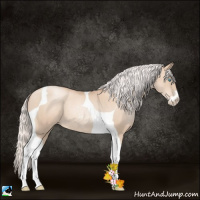 Horse Color:Silver Classic Champagne Pearl Sabino Tobiano 