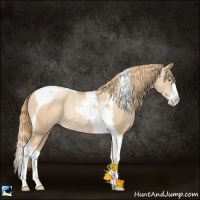 Horse Color:Red Dun Pearl Splash Tobiano Rabicano 