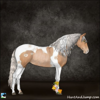 Horse Color:Silver Bay Pearl Tobiano Rabicano 
