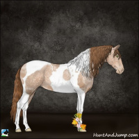 Horse Color:Liver Chestnut Ice Pearl Tobiano 