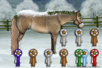 Horse Color:Chocolate Palomino 