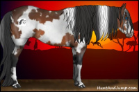 Horse Color:White Spotted Bay Frame 