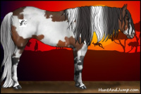 Horse Color:White Spotted Bay Frame 
