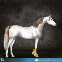 Horse Color:White Spotted Blue Ice Roan Pearl Splash Frame 