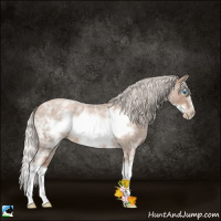 Horse Color:White Spotted Silver Blue Ice Roan Pearl Splash Frame
