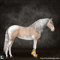 Horse Color:White Spotted Silver Black Ice Pearl Splash Tobiano Frame 