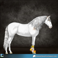 Horse Color:Silver Black Ice Pearl Sabino Splash Tobiano