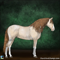 Horse Color:White Spotted Bay Ice Pearl Dun Splash