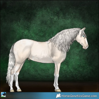 Horse Color:White Spotted Silver Classic Champagne Ice Pearl Dun Sabino Splash 