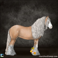 Horse Color:Silver Brown Pearl Sabino Rabicano 