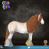 Horse Color:Bay Pearl Onyx Sabino Rabicano 