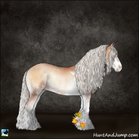 Horse Color:Silver Brown Pearl Onyx Sabino Rabicano