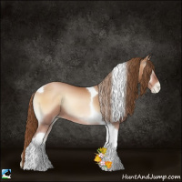 Horse Color:Bay Pearl Onyx Sabino Tobiano 