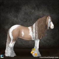 Horse Color:Black Pearl Sabino Tobiano