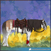 Horse Color:Bay Dun Sabino Splash 