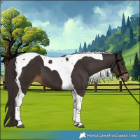 Horse Color:Liver Chestnut Tobiano 