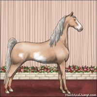Horse Color:Silver Amber Champagne Frame