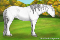 Horse Color:Smoky Black Sabino