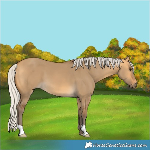 Horse Color:Silver Buckskin Dun 