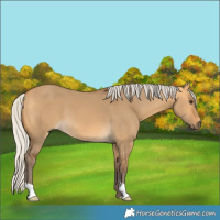 Horse Color:Silver Buckskin Dun 