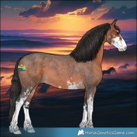 Horse Color:Brown Roan Sabino 