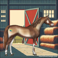 Horse Color:Red Onyx 